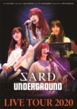 SARD UNDERGROUND LIVE TOUR 2020