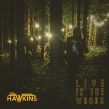 Live In The Woods