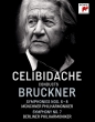 Symphonies Nos.6, 7, 8 : Sergiu Celibidache / Munich Philharmocnic (1990-91)+Symphony No.7 : Sergiu Celibidache / Berlin Philharmonic (1992)(4BD)