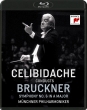 Symphony No.6 : Sergiu Celibidache / Munich Philharmocnic (1991)