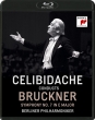 Symphony No.7 : Sergiu Celibidache / Berlin Philharmocnic (1992)