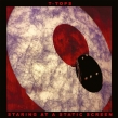 Staring At A Static Screen (Red / Black Marble Vinyl)