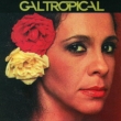 Gal Tropical