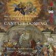 Cantate Domino: Safari / Ensemble Bachwerkvokal