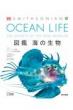 OCEAN LIFE } C̐