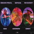 Go Down Deh (Feat.Shaggy.Sean Paul)