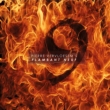 Flambant 9