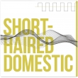 Short-haired Domestic (Tim Friese-greene -Talk Talk)