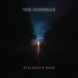 Steadman' s Wake