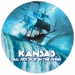 All Just Dust In The Wind (Picture Disc)