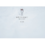 ���{���M