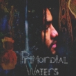 Primordial Waters