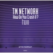 TM NETWORK How Do You Crash It? two AFTER PAMPHLET