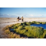 Until The End Of The World