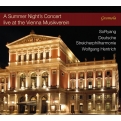 A Summer Night' s Concert Live At The Vienna Musikverein: So Ryang Hentrich / Deutsche Streicherphilharmonie