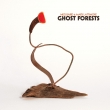 Ghost Forests (+dl Card)