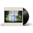 Music For Growing Flowers
