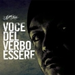 Voce Del Verbo Essere