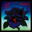Black Rose -A Rock Legend