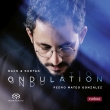 Pedro Mateo Gonzalez: Ondulation-j.s.bach & Kurtag (Mqa)