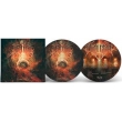 Chaosmos (Picture Disc Vinyl)