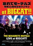 Yă[eY10NLO}at BIGCAT!!!