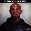 Onyx 4 Life -Silver