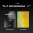 Debut Album: The Beginning (Random Cover)
