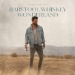 Barstool Whiskey Wonderland