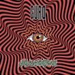 Hallucinations
