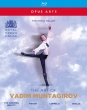 The Art of Vadim Muntagirov (4BD)