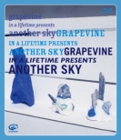 in a lifetime presents another sky (Blu-ray+CD)