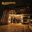 Blossoms (National Album Day)(IWE@Cidl/AiOR[h)