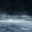 The Invisible Prides