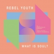 What Is Soul (30th Anniversary Remixes)