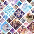 IDOLM@STER SHINY COLORS WING COLLECTION -A side-