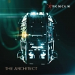 Architect (Transparent Light Blue Vinyl)