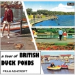 Tour Of British Duck Ponds