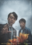 Renzoku Drama W Ame Ni Kieta Himawari Dvd-Box