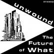 Future Of What (Black / White Explosion Vinyl)
