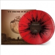 Dividing Lines (Transparent Red / Black Splatter Vinyl)