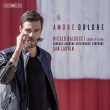 Amore Dolore -Countertenor Arias : Nicolo Balducci(CT)Dan Laurin / Baroque Academy Gothenburg Symphony