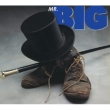 Mr Big (Mqacd)