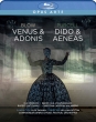 Venus & Adonis: Relton Boman / Confidencen Opera Festival O Ranzlov Volungholen +purcell: Dido & Aeneas