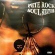 Soul Survivor (color vinyl version / 2LP vinyl record)
