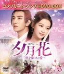 �[����(��������)�`�O�����삯�鈤�` BOX3