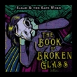 Book Of Broken Glass