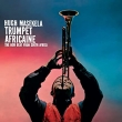 Trumpet Africaine