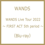 WANDS Live Tour 2022 ` FIRST ACT 5th period ` (Blu-ray)