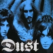 Dust (Grey Colour